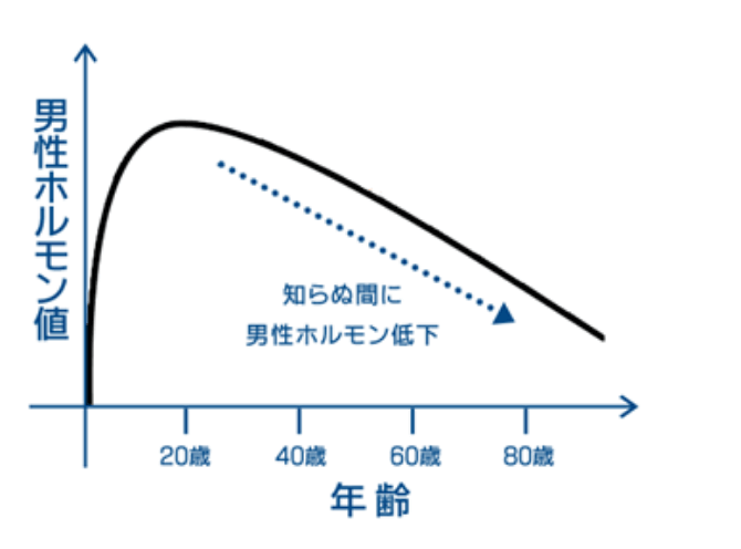 加齢に伴う男性ホルモン推移グラフイメージ